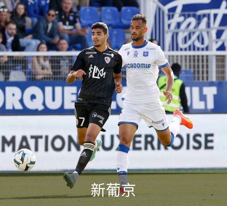 了解新葡京